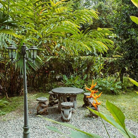 Pura Vida Vegana Hotel Cahuita Exterior foto
