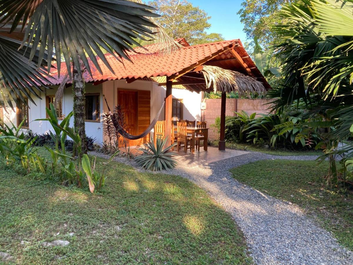 Pura Vida Vegana Hotel Cahuita Exterior foto