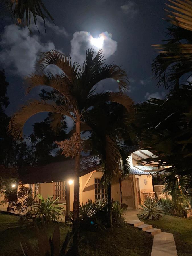 Pura Vida Vegana Hotel Cahuita Exterior foto