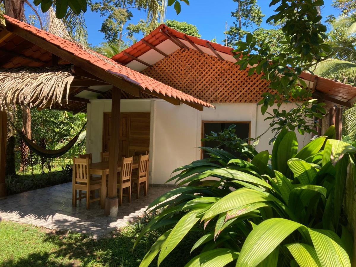 Pura Vida Vegana Hotel Cahuita Exterior foto