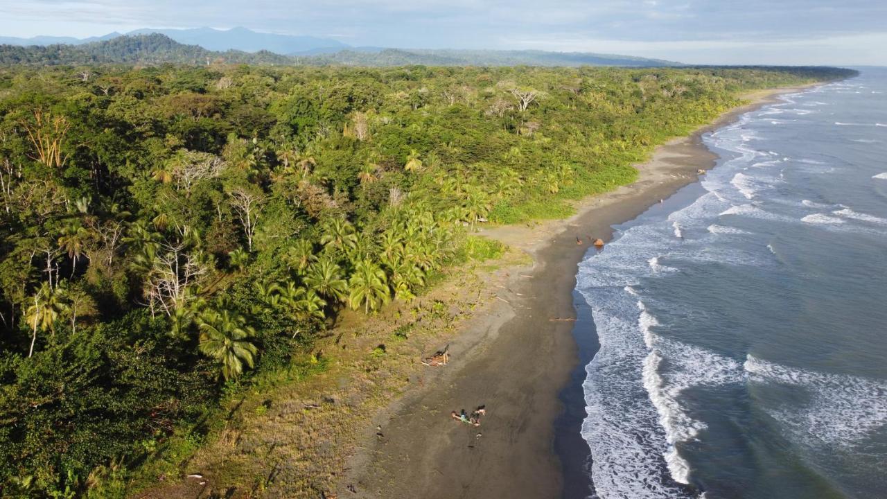 Pura Vida Vegana Hotel Cahuita Exterior foto